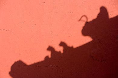 动视暴雪女员工自杀案死者父母撤诉 并放弃起诉权利